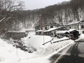 寒いし帰ろう