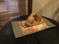 ひよこ　美味しそう
