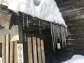 つららすごい！