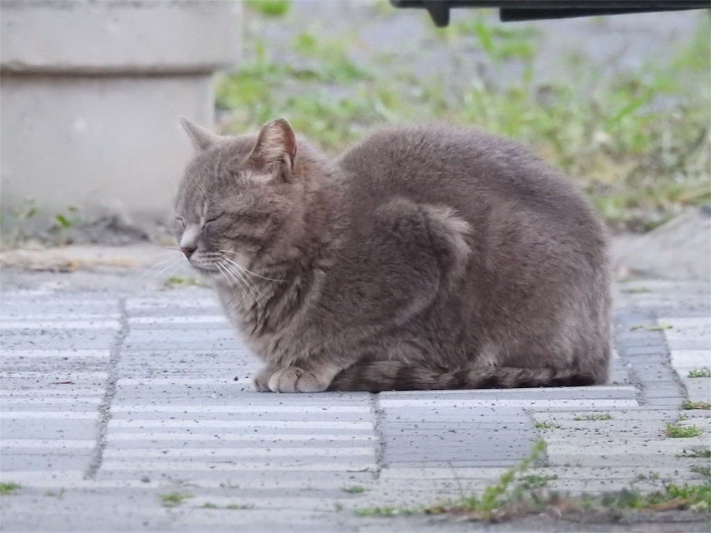f:id:kutsu_shita:20170509234542j:image f:id:kutsu_shita:20170509234542j:image