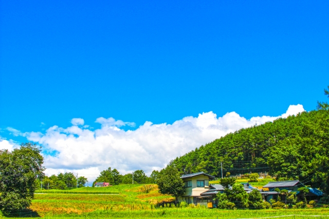 f:id:kutsuhimo3:20190902224414j:plain