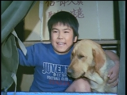 f:id:kutsukakato:20200322083415j:plain f:id:kutsukakato:20200322083415j:plain
