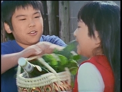 f:id:kutsukakato:20200322093606j:plain f:id:kutsukakato:20200322093606j:plain