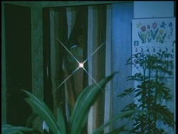 f:id:kutsukakato:20200322095948j:plain