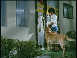 f:id:kutsukakato:20200412050446j:plain f:id:kutsukakato:20200412050446j:plain