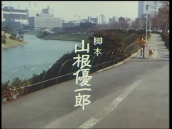 f:id:kutsukakato:20200505223150j:plain f:id:kutsukakato:20200505223150j:plain