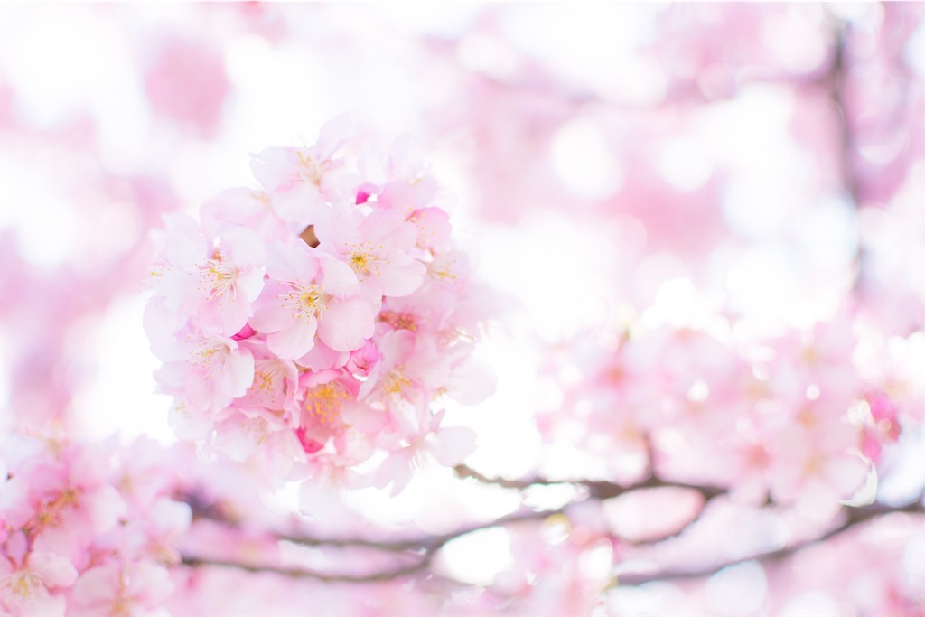 f:id:kuujigen:20200415185937j:image f:id:kuujigen:20200415185937j:image