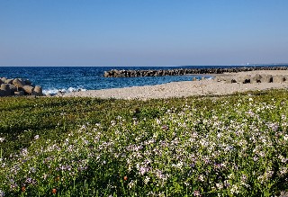 f:id:kuumaron517:20250429201928j:image