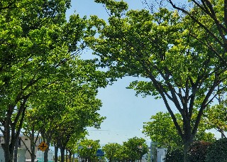 f:id:kuumaron517:20250501193417j:image