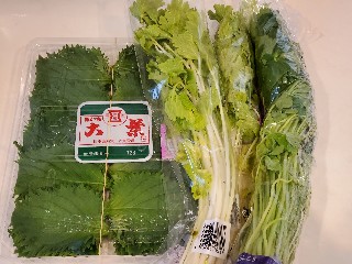 f:id:kuumaron517:20250501193451j:image
