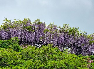 f:id:kuumaron517:20250502201111j:image