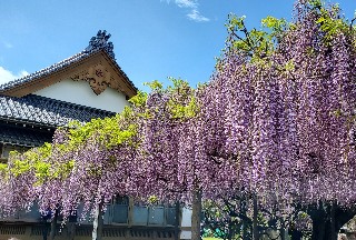 f:id:kuumaron517:20250502201129j:image