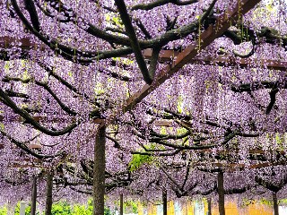 f:id:kuumaron517:20250502201143j:image