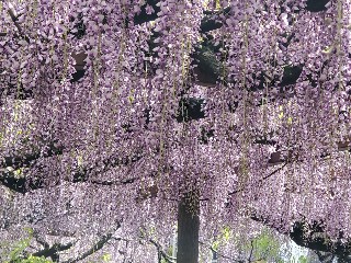 f:id:kuumaron517:20250502201149j:image