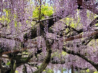 f:id:kuumaron517:20250502201154j:image