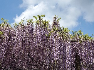 f:id:kuumaron517:20250502201159j:image