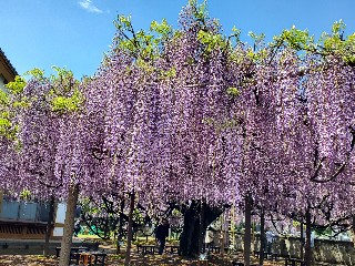 f:id:kuumaron517:20250502201204j:image