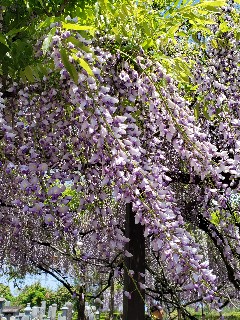 f:id:kuumaron517:20250502201211j:image