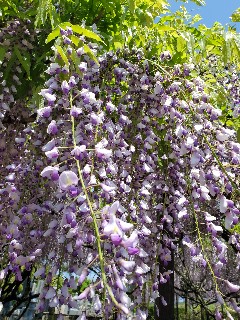 f:id:kuumaron517:20250502201222j:image