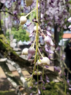 f:id:kuumaron517:20250502201226j:image