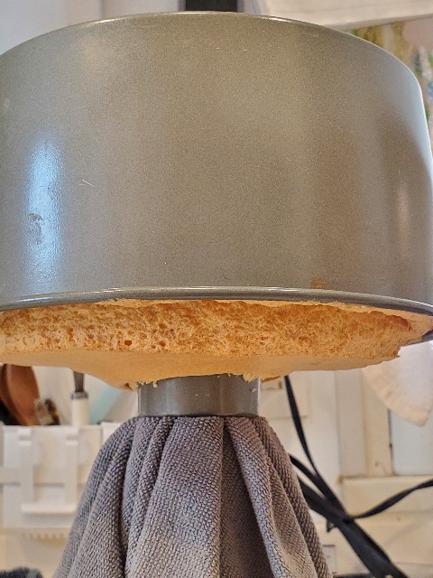 f:id:kuumaron517:20250512202055j:image