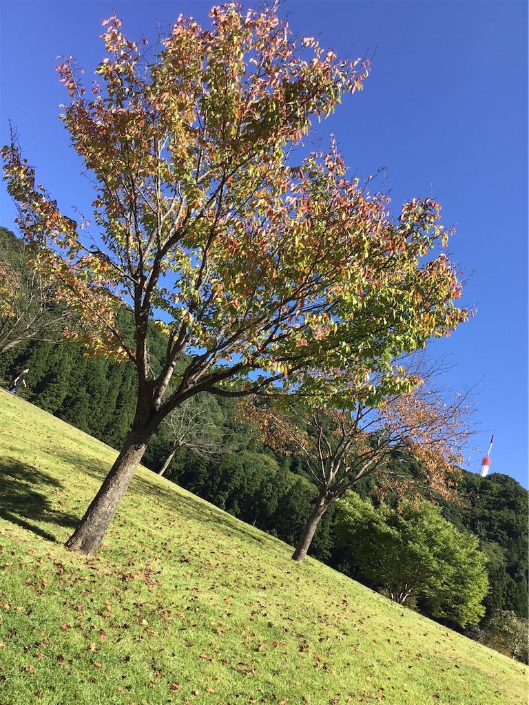 f:id:kuunerube:20210919234053j:image