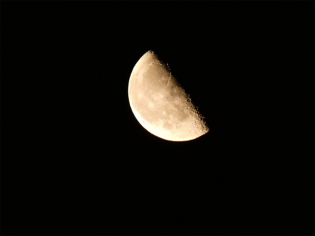f:id:kuushou3938:20260111190239j:image f:id:kuushou3938:20260111190239j:image