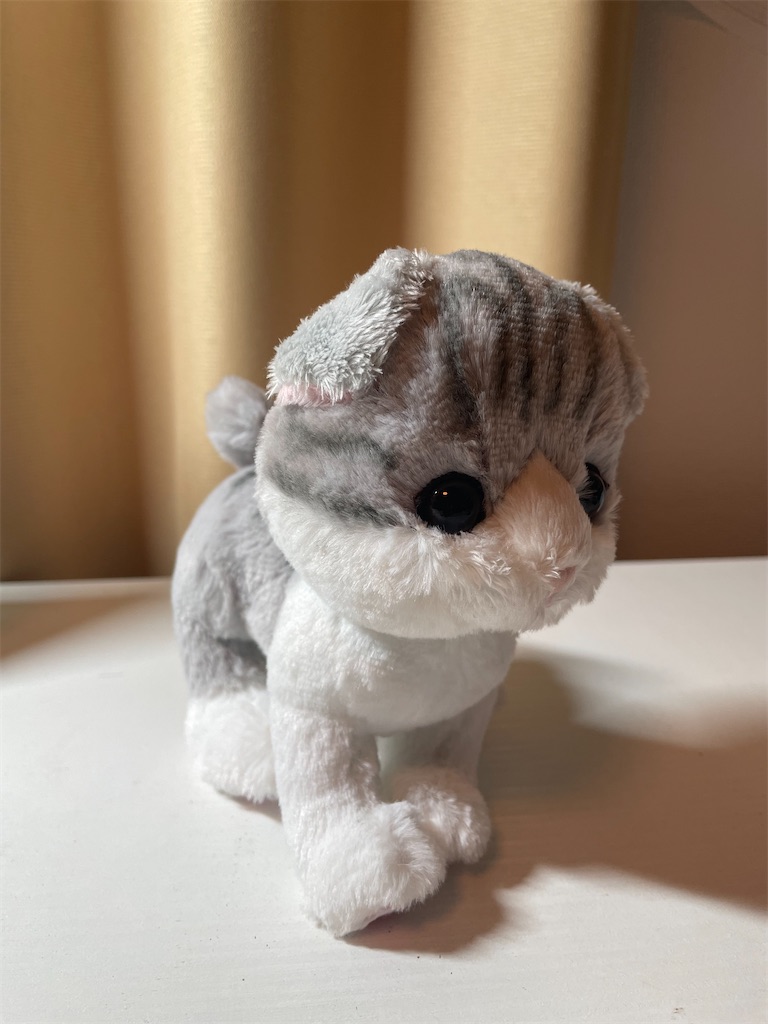 f:id:kuushou3938:20260225233138j:image f:id:kuushou3938:20260225233138j:image
