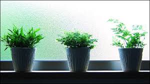 f:id:kuutiti:20200911153802j:plain