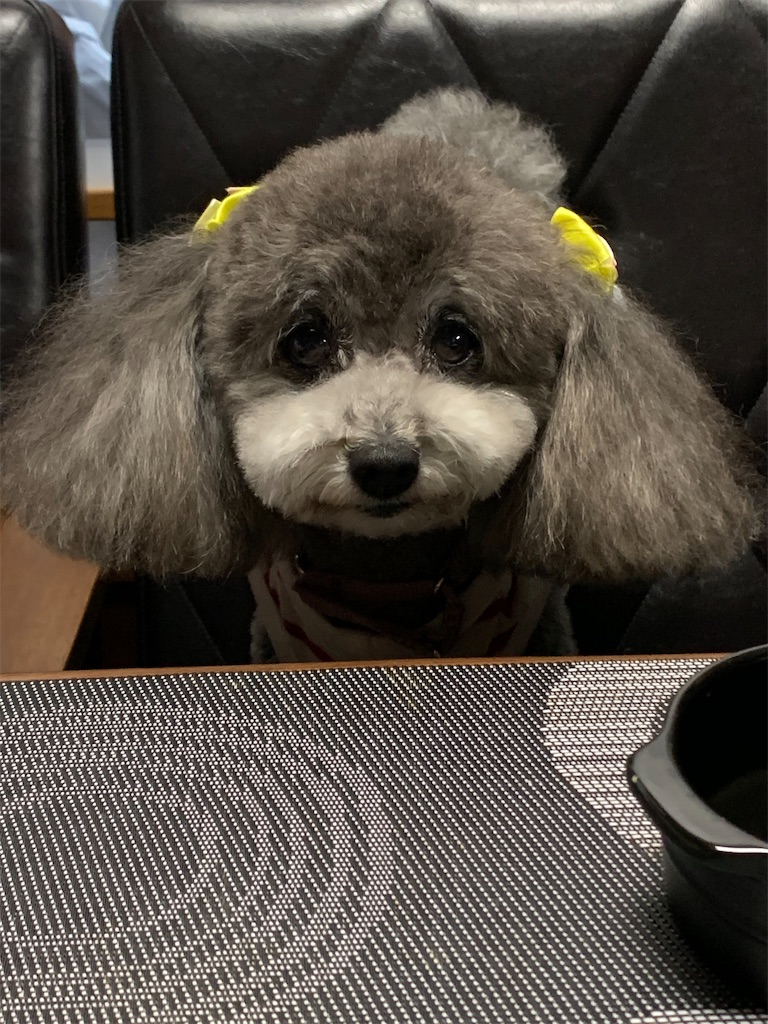 f:id:kuutonon:20200620185226j:image f:id:kuutonon:20200620185226j:image