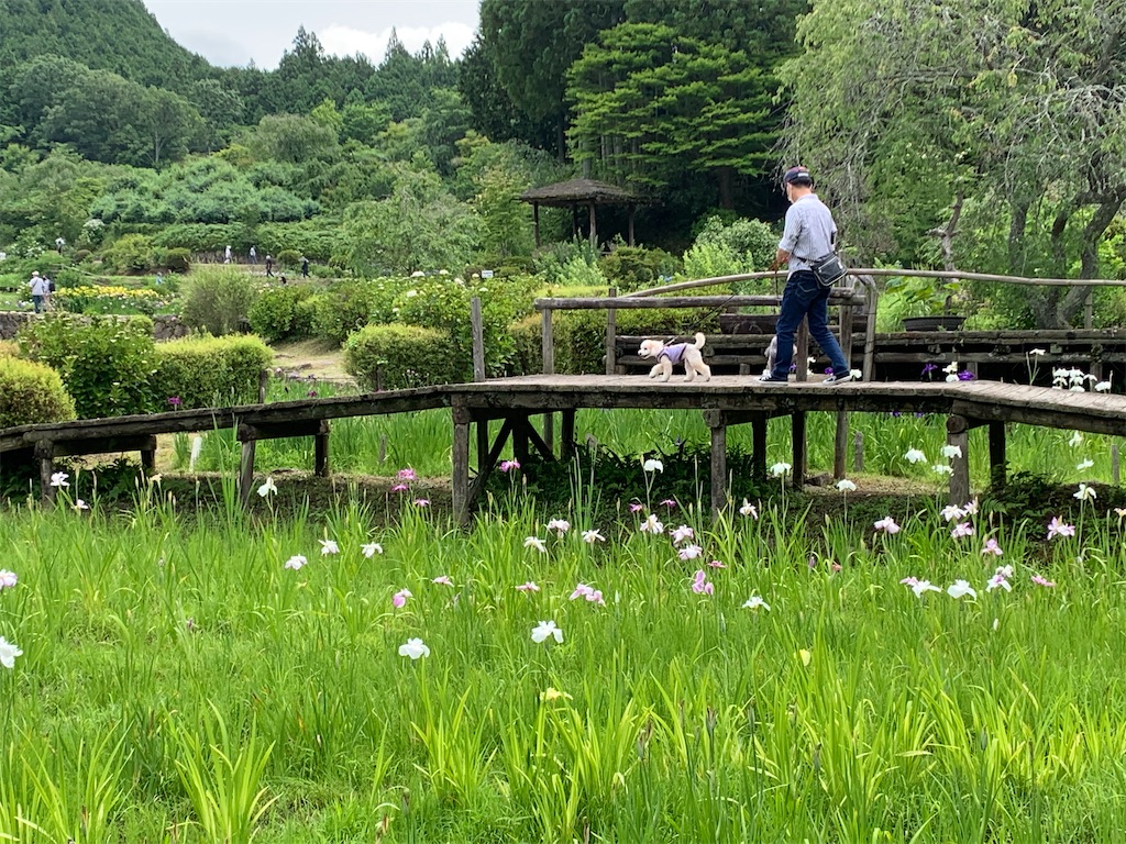 f:id:kuutonon:20200621185530j:image f:id:kuutonon:20200621185530j:image