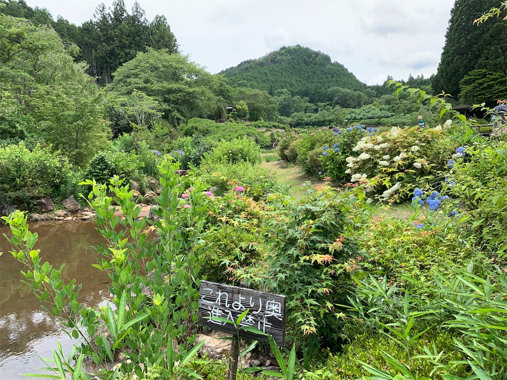 f:id:kuutonon:20200621185549j:image f:id:kuutonon:20200621185549j:image