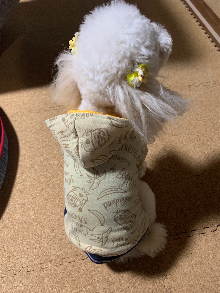 犬服のフードの形にこだわってみました トイプーとまったり手作り生活