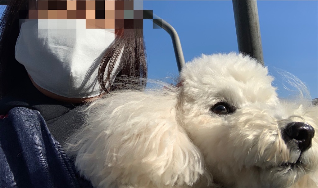 f:id:kuutonon:20201108163733j:image f:id:kuutonon:20201108163733j:image