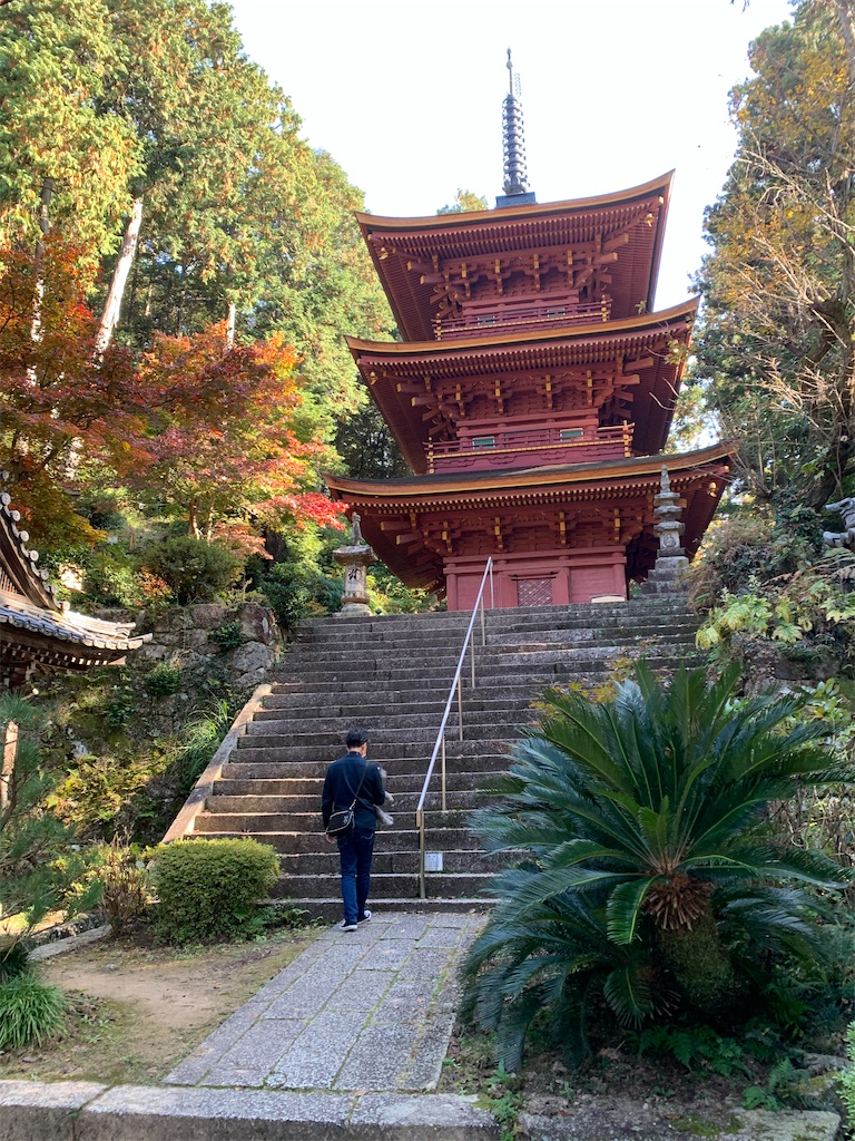 f:id:kuutonon:20201115181900j:image f:id:kuutonon:20201115181900j:image