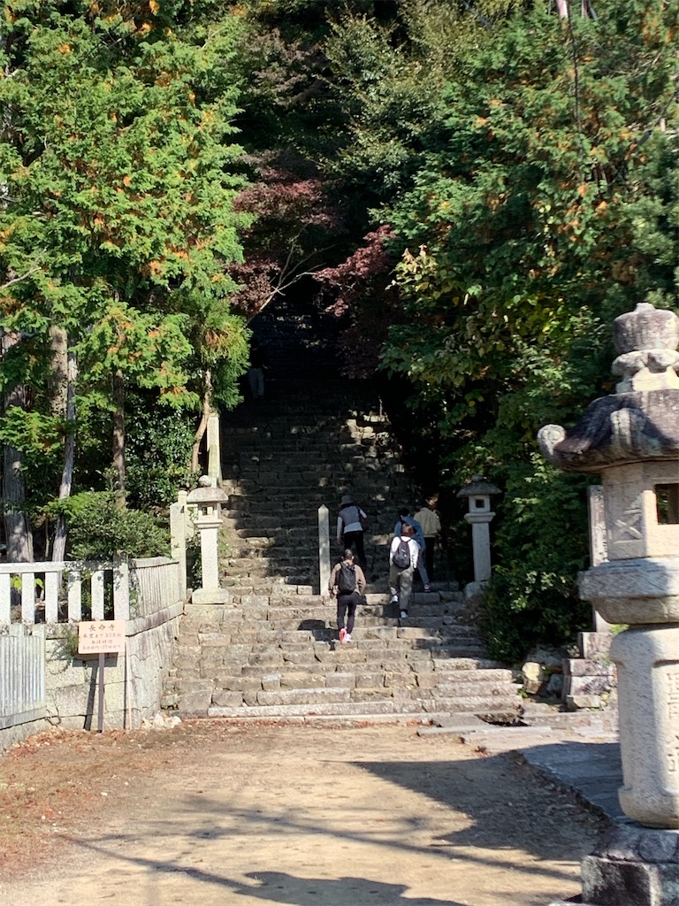 f:id:kuutonon:20201115181919j:image f:id:kuutonon:20201115181919j:image