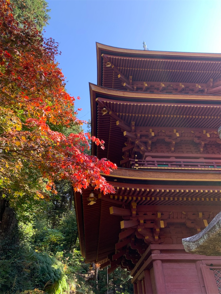 f:id:kuutonon:20201115181959j:image f:id:kuutonon:20201115181959j:image