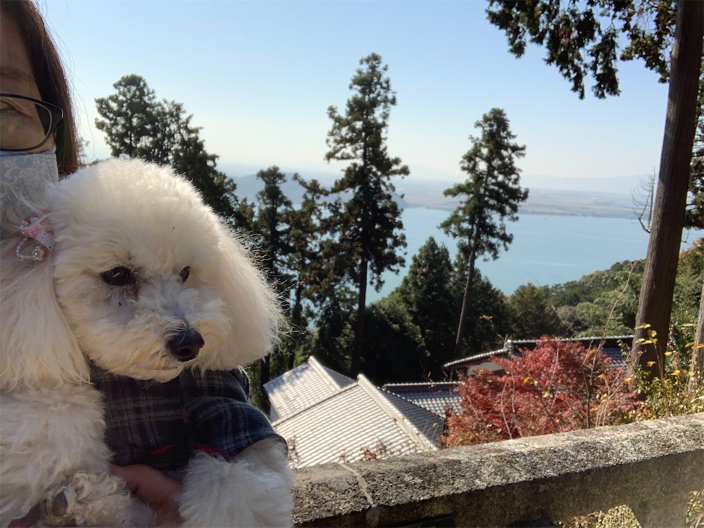 f:id:kuutonon:20201115182013j:image f:id:kuutonon:20201115182013j:image