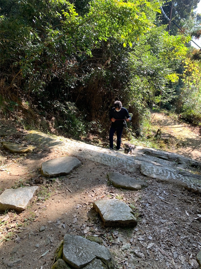 f:id:kuutonon:20201115182517j:image f:id:kuutonon:20201115182517j:image