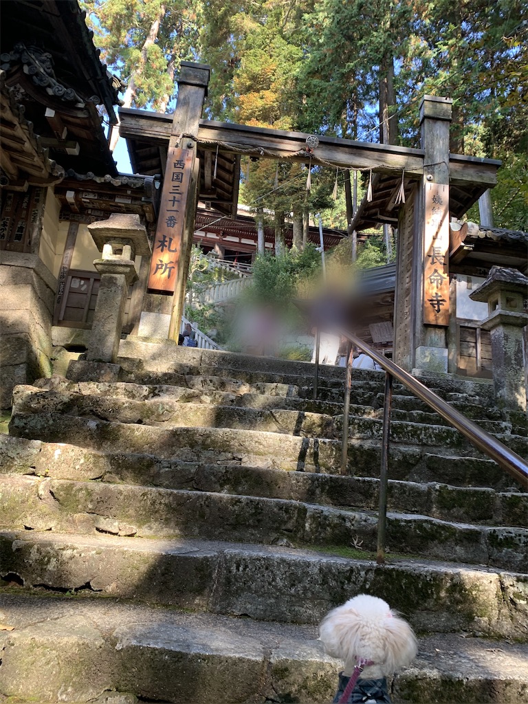 f:id:kuutonon:20201115184803j:image f:id:kuutonon:20201115184803j:image