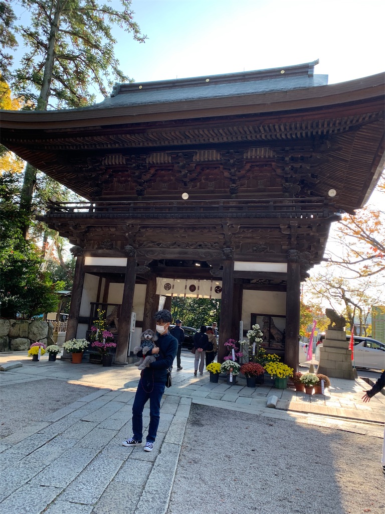 f:id:kuutonon:20201115193444j:image f:id:kuutonon:20201115193444j:image