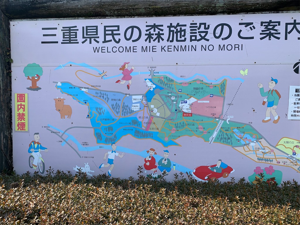 三重のお散歩 三重県民の森をウォーキング トイプーとまったり手作り生活