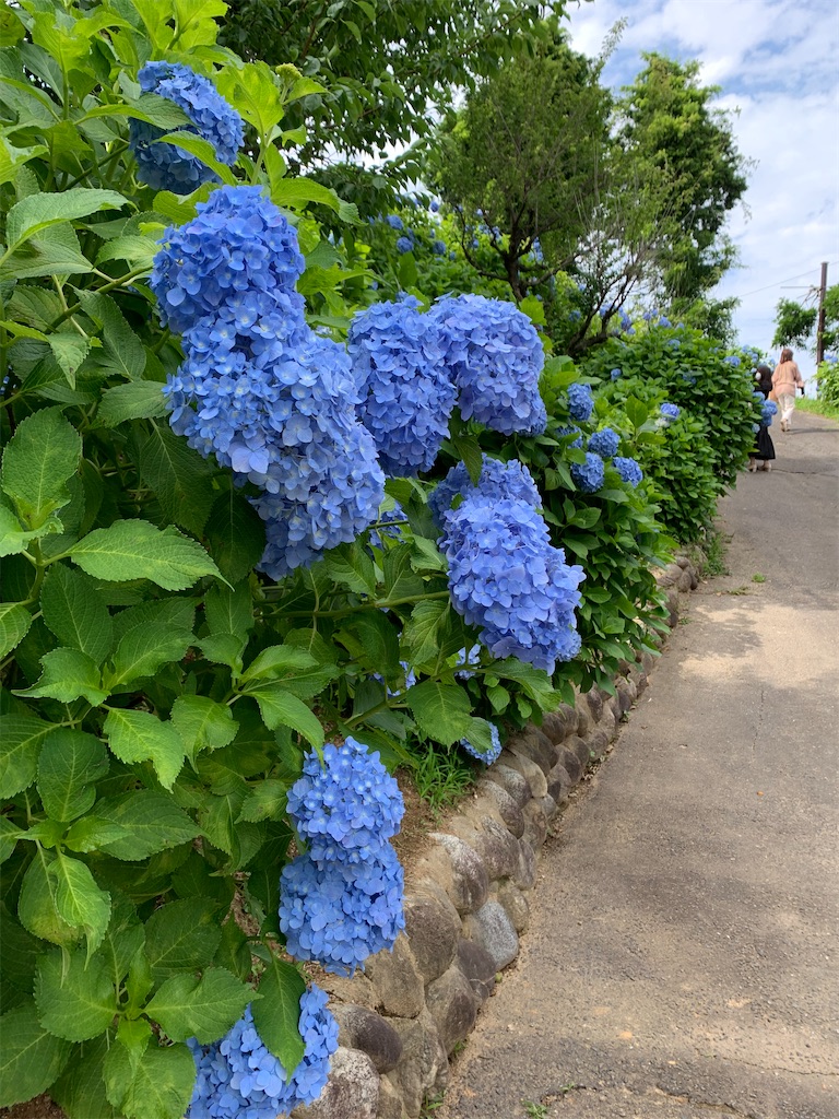 f:id:kuutonon:20210606191019j:image f:id:kuutonon:20210606191019j:image