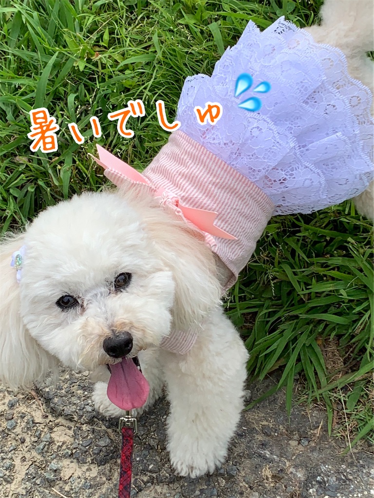f:id:kuutonon:20210606191624j:image f:id:kuutonon:20210606191624j:image