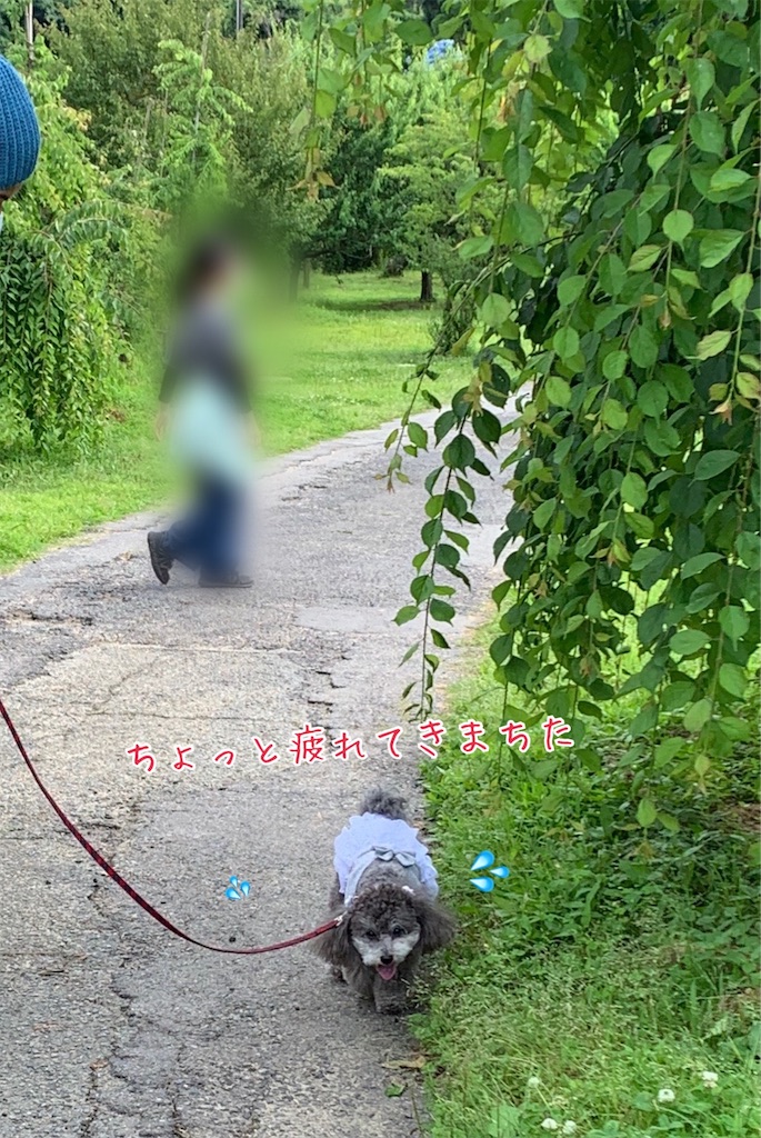 f:id:kuutonon:20210606191627j:image f:id:kuutonon:20210606191627j:image