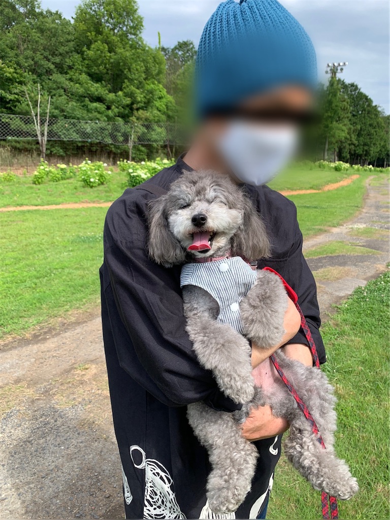 f:id:kuutonon:20210606191631j:image f:id:kuutonon:20210606191631j:image