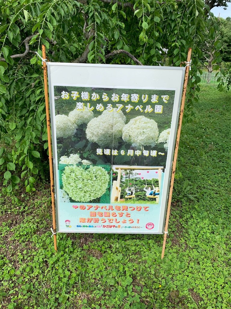 f:id:kuutonon:20210606191721j:image f:id:kuutonon:20210606191721j:image