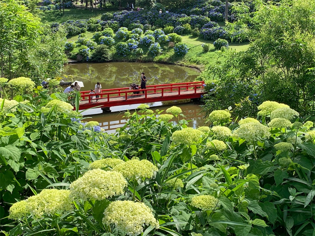 f:id:kuutonon:20210606192100j:image f:id:kuutonon:20210606192100j:image