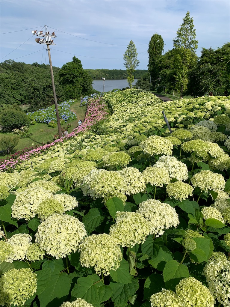 f:id:kuutonon:20210606192105j:image f:id:kuutonon:20210606192105j:image