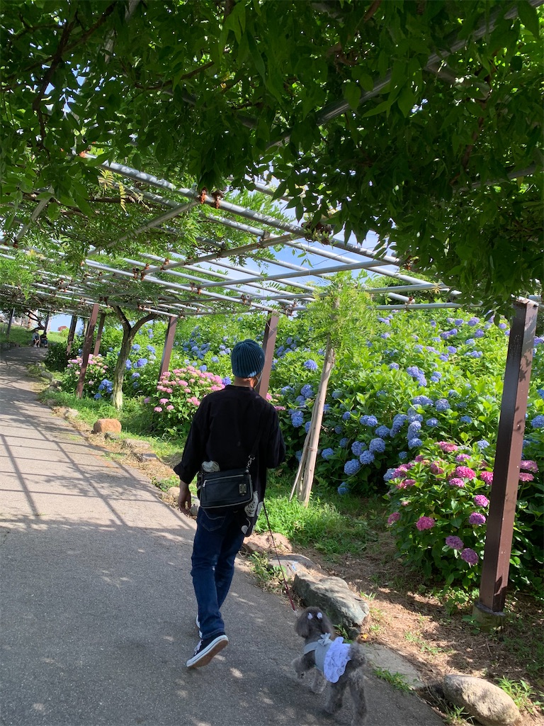 f:id:kuutonon:20210606192117j:image f:id:kuutonon:20210606192117j:image